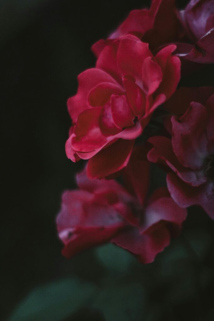 7. Best Fragrances For Aries, Taurus, Gemini, And More