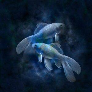 Read more about the article 26. Astrology-Based Fragrance Pairings For Every Sign