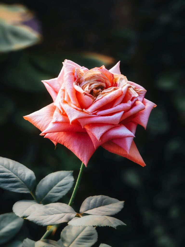 Fun And Unique Perfume  Astrology Ideas