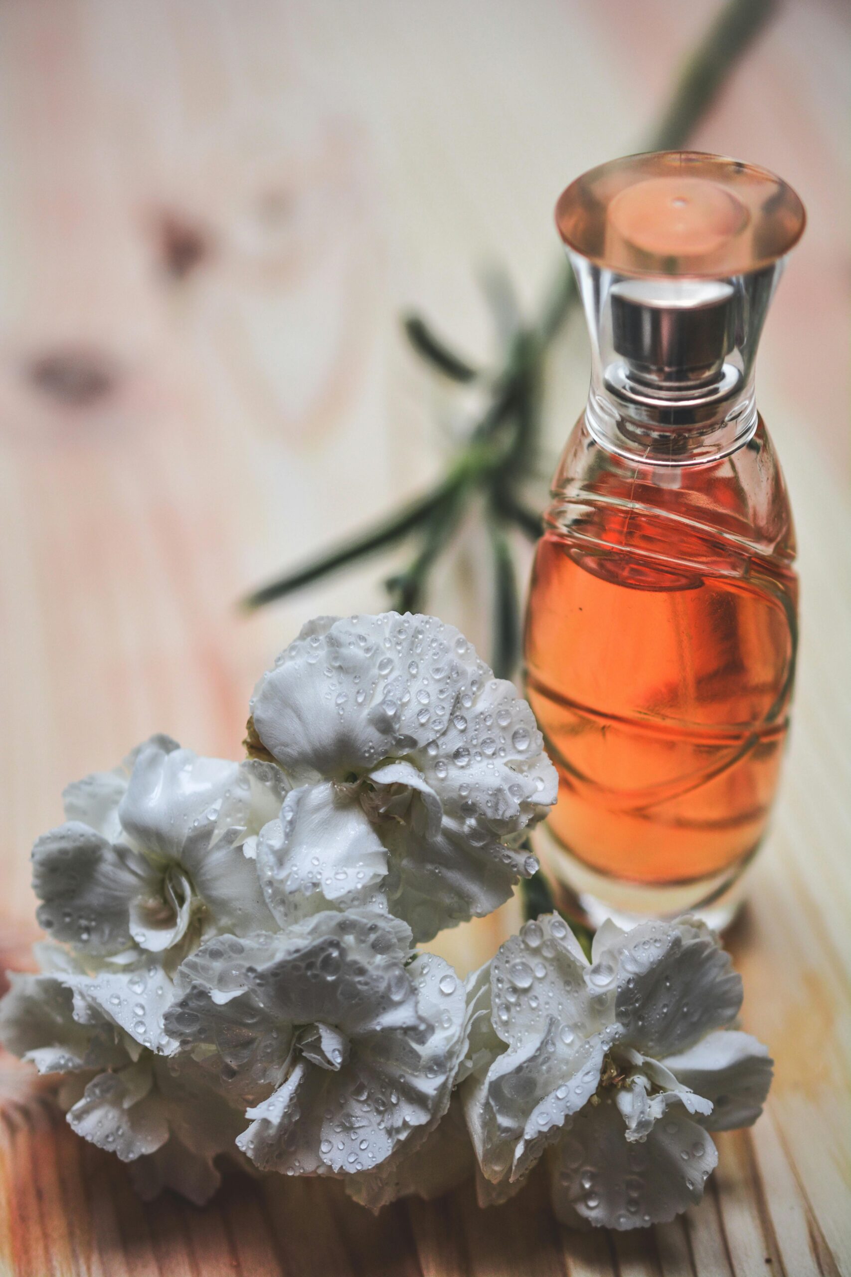 You are currently viewing What Is The Most Welcoming Scent?