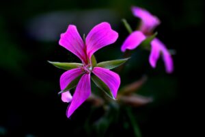 Read more about the article Fall Perfumes That Smell Like Warm Spices & Wood