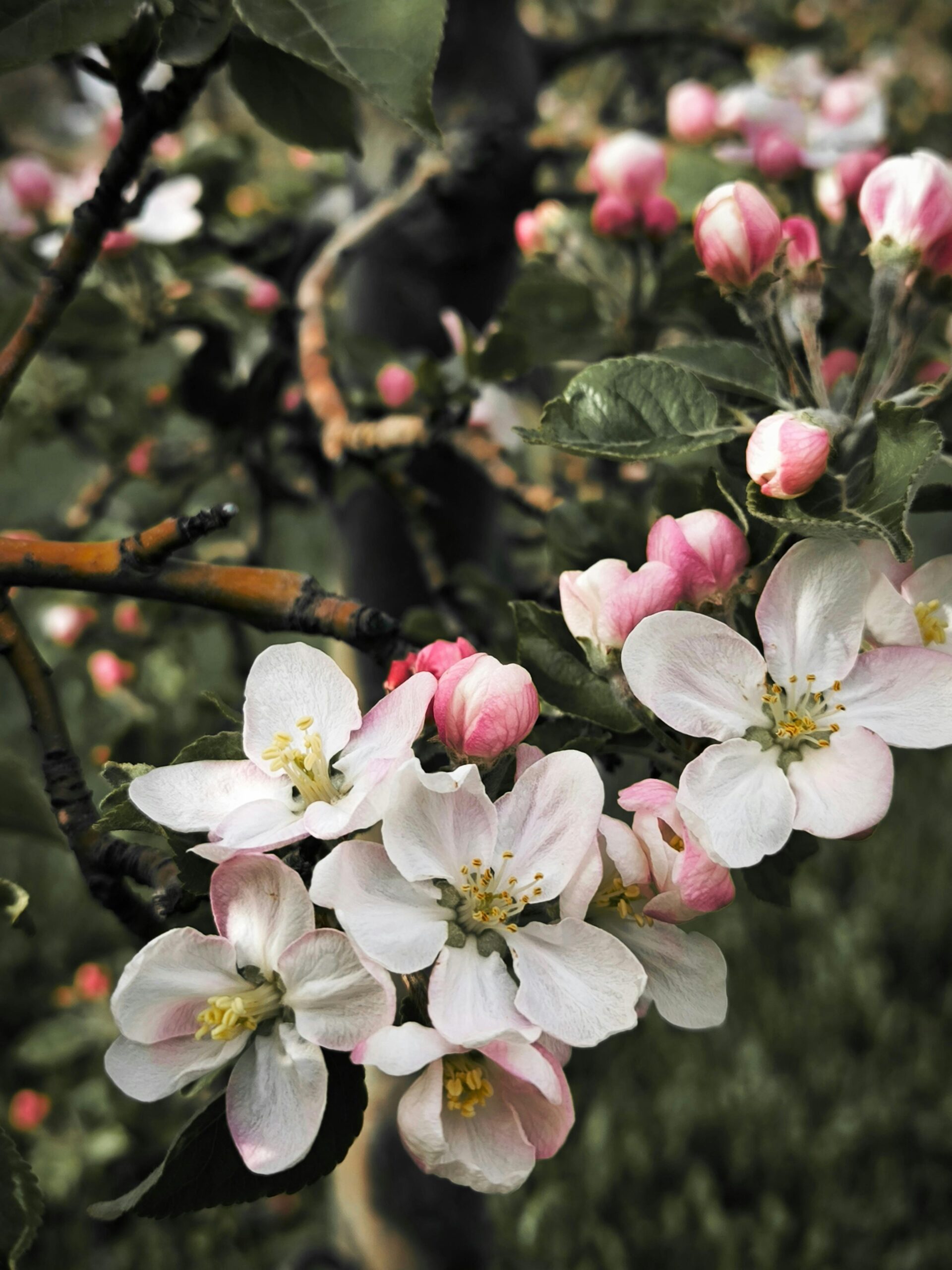 Read more about the article Perfume Layering: How To Create A Unique Signature Scent