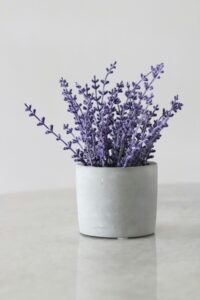 Read more about the article Perfumes That Smell Like Rain, Books, And Other Unique Scents
