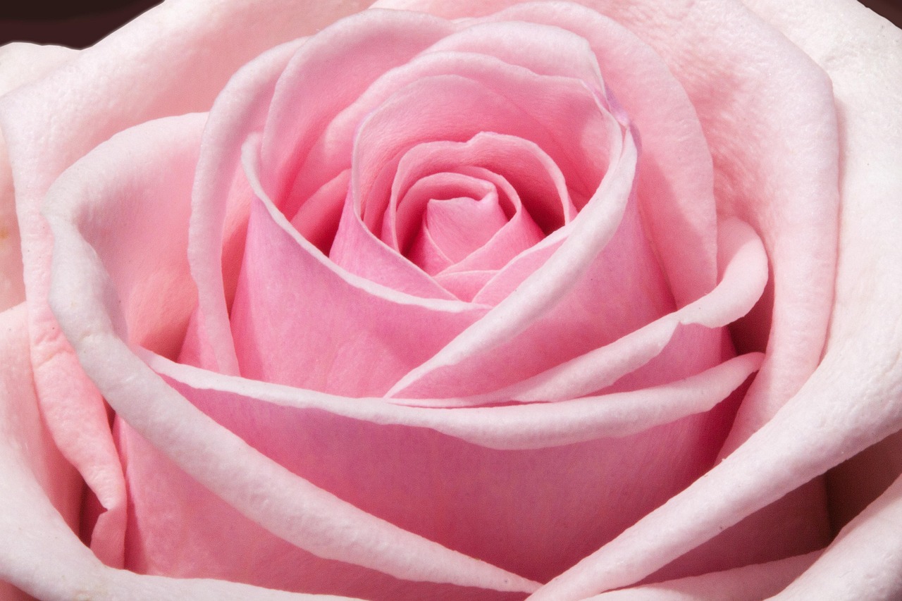 Perfumes That Make A Powerful First Impression