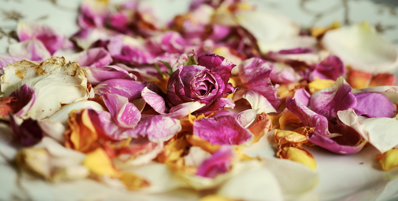 Perfumes That Make A Powerful First Impression