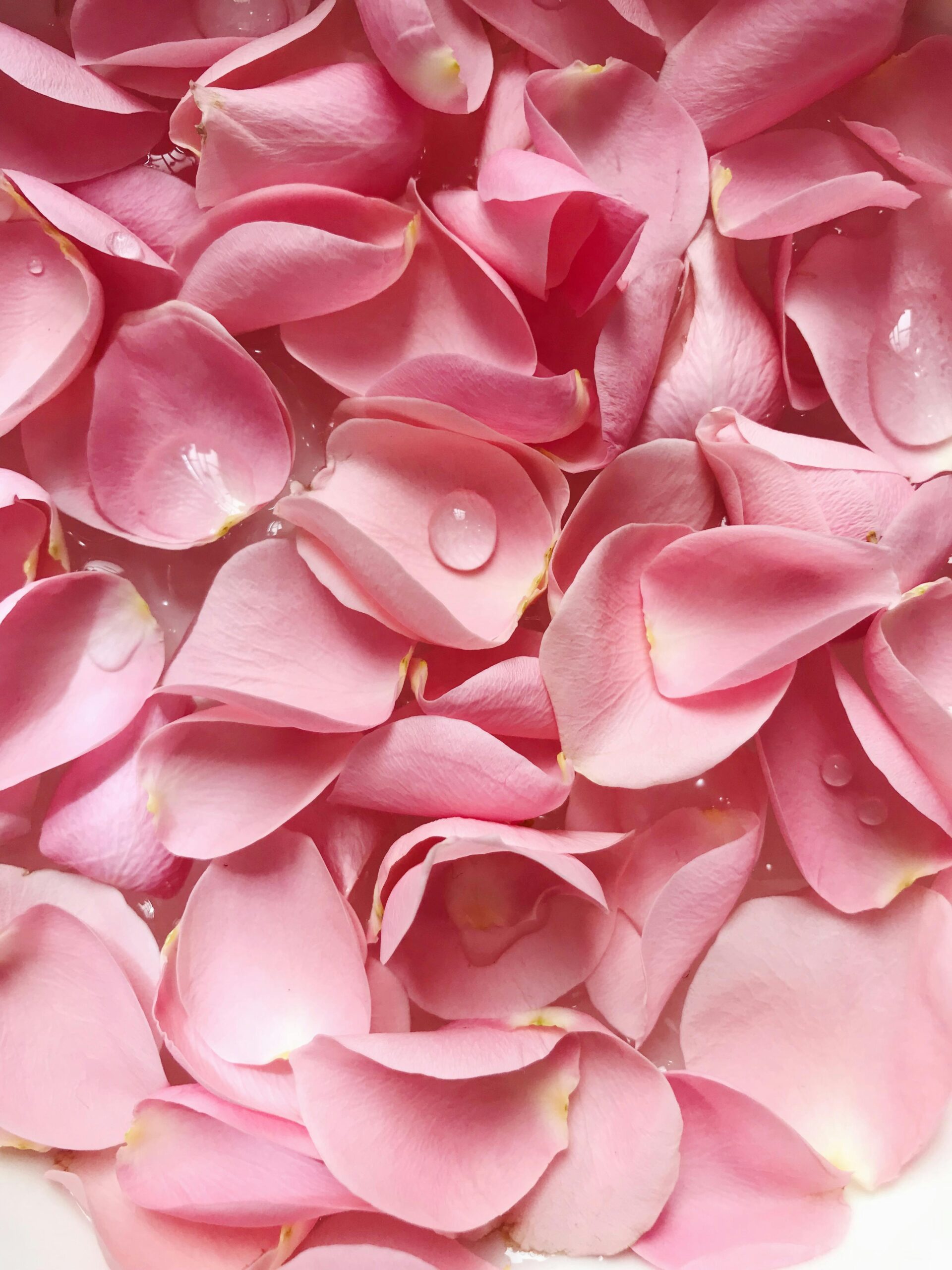 Read more about the article The Most Iconic Celebrity Perfumes Of All Time